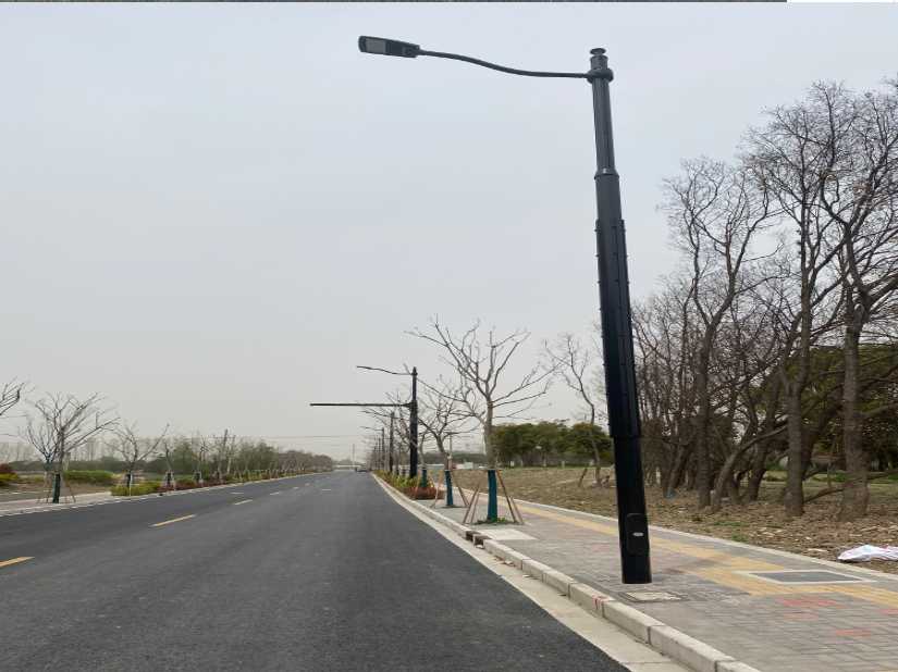 安州区上海综合杆 太阳能路灯工程